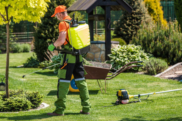 Best Lawn Pest Control  in Mulino, OR